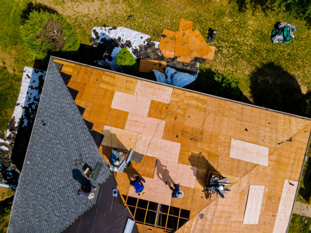 Best Roof Replacement Cost  in Fort Defiance, AZ
