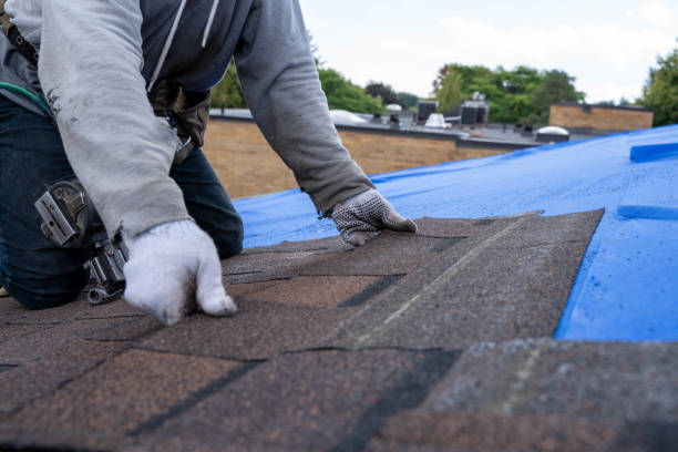 Best Emergency Roof Repair  in Fort Defiance, AZ
