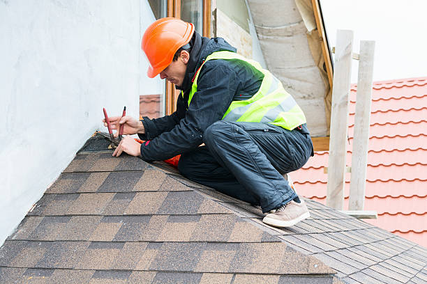 Best Residential Roof Replacement  in Fort Defiance, AZ