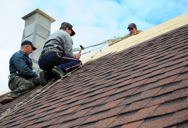 Best Commercial Roofing Services  in Fort Defiance, AZ