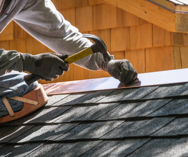Best Metal Roofing Contractor  in Fort Defiance, AZ